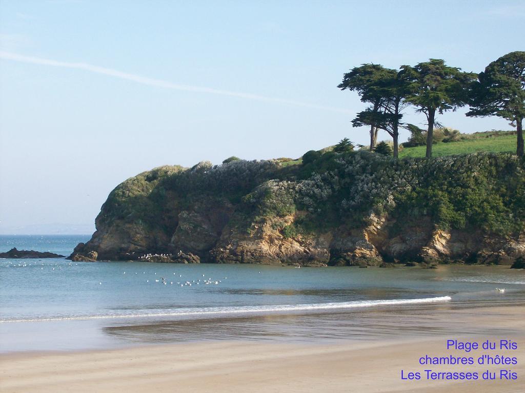 Les Terrasses Du Ris Bed & Breakfast Douarnenez Ngoại thất bức ảnh