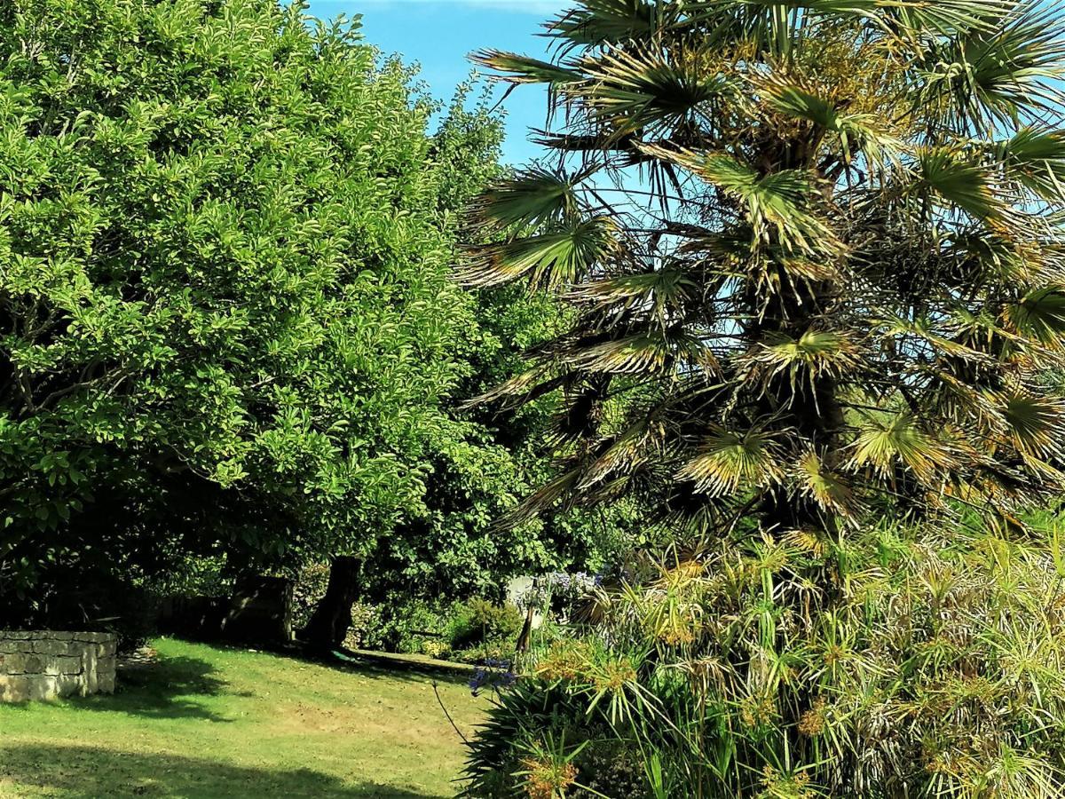 Les Terrasses Du Ris Bed & Breakfast Douarnenez Ngoại thất bức ảnh